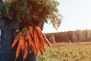 Similar image 21939450