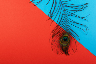 Similar image 21939451