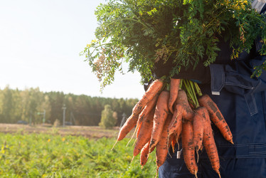 Similar image 21939454