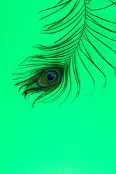 Similar image 21939463