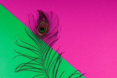 Similar image 21939464