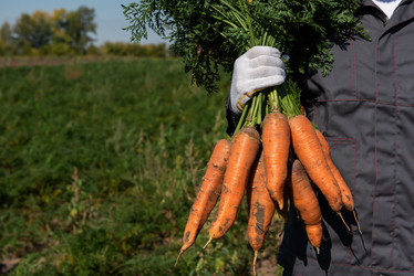 Similar image 21944018