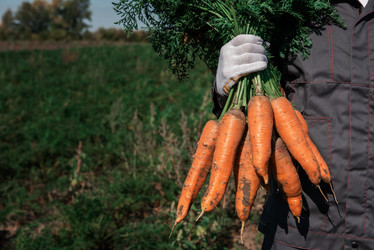 Similar image 21944019