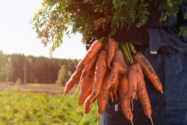 Similar image 21939478