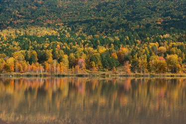 Similar image 21936223