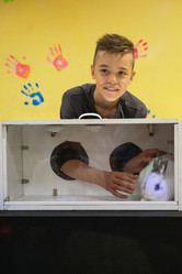 Similar image 21941932