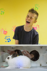 Similar image 21941936