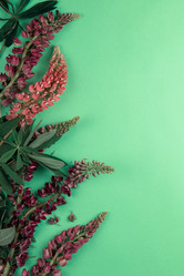 Similar image 21942085