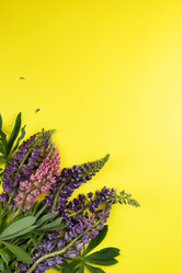 Similar image 21942087