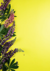 Similar image 21939494