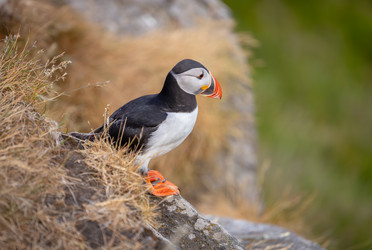 Similar image 21915454