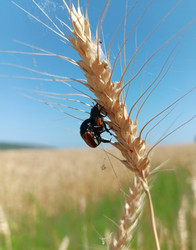 Similar image 21933177