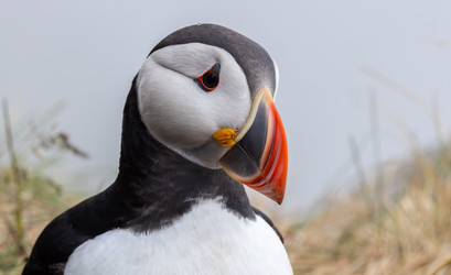 Similar image 21915882