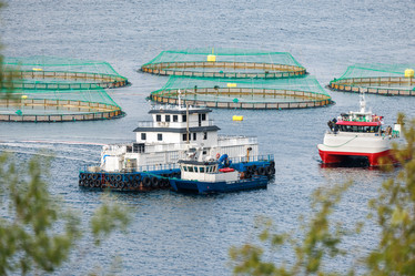 Similar image 21916064