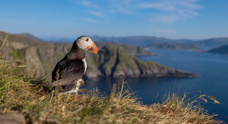 Similar image 21915186