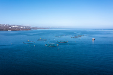 Similar image 21915456