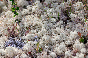 Similar image 21915467