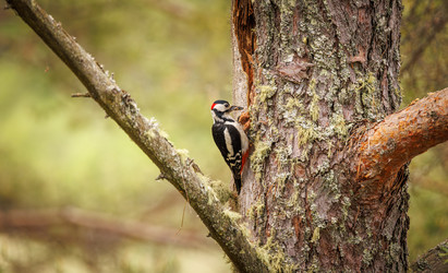 Similar image 21915468