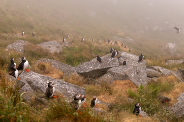 Similar image 21915194