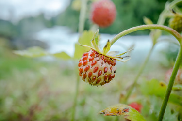 Similar image 21915405