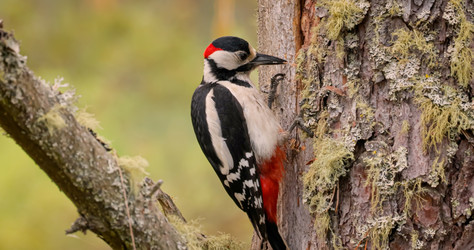 Similar image 21915478