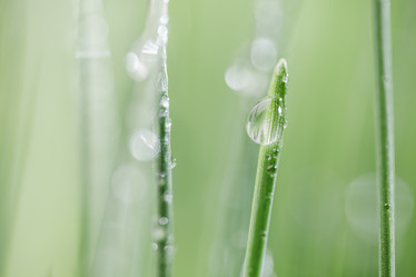 Similar image 21914977