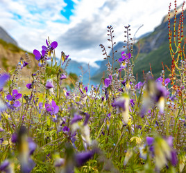 Similar image 21915409