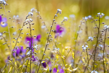 Similar image 21915506