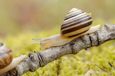 Similar image 21915906