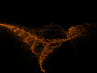 Similar image 21918009