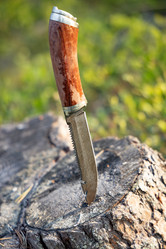 Similar image 21914251