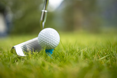 Similar image 21915201