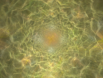 Similar image 21916977