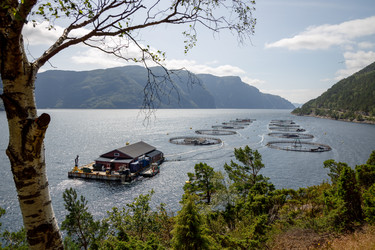 Similar image 21915544