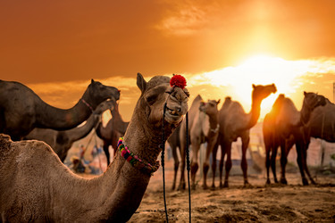 Similar image 21913933