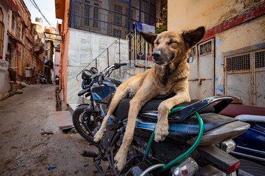 Similar image 21914012