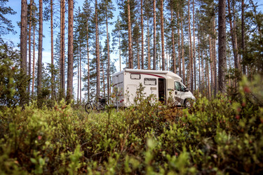 Similar image 21913656