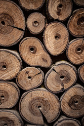 Similar image 21915419