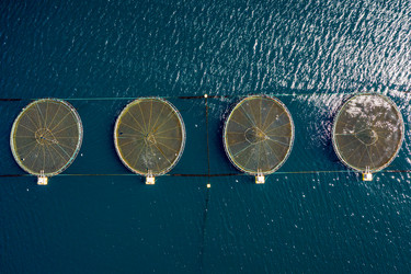 Similar image 21915604