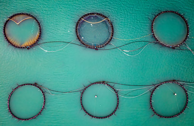 Similar image 21915980