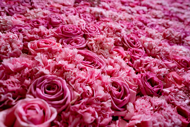 Similar image 21915109