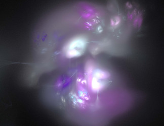 Similar image 21944571