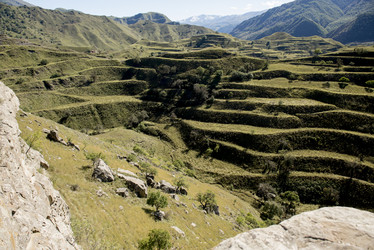 Similar image 21943812