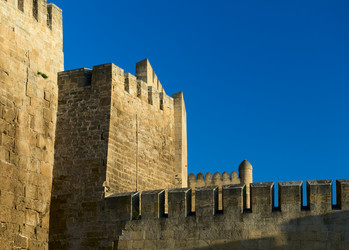 Similar image 21911721