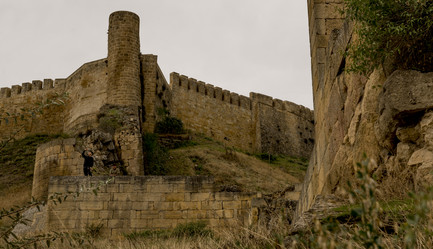 Similar image 21911726