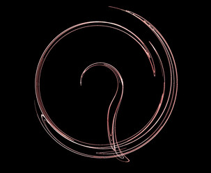 Similar image 21945003