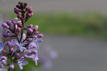 Similar image 21936920