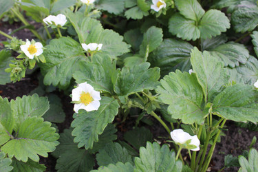 Similar image 21936922