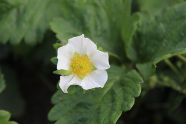 Similar image 21936924