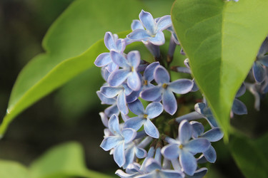 Similar image 21936925